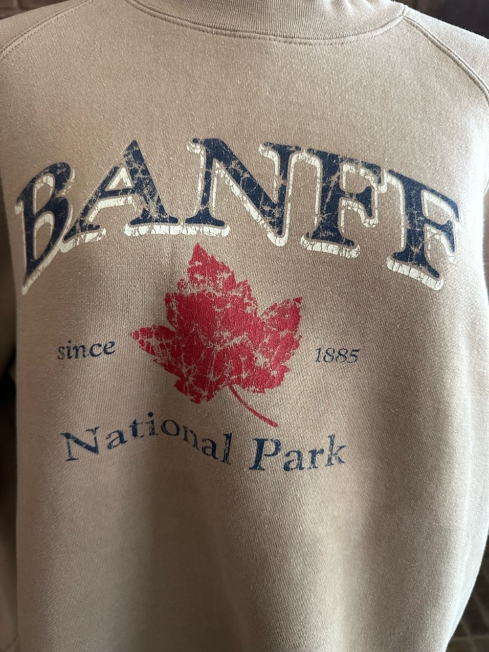 Banff National Park Graphic Crewneck Cabincore Cozy XL - Picture 2 of 5